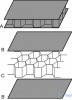 Полипропиленовый сотовый лист Honeycomb  6мм (1150мм.х 2300мм.) PP 8T 40F 1